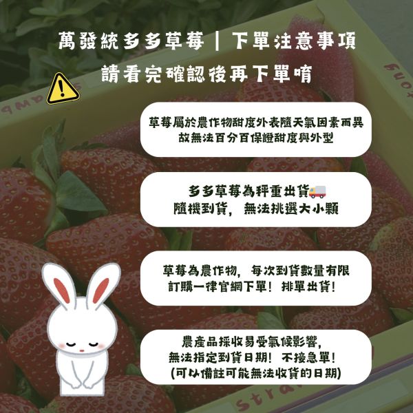 《預購中》苗栗大湖萬發統多多草莓 