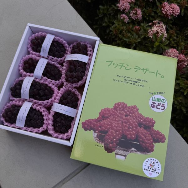 日本山梨珍珠葡萄禮盒 