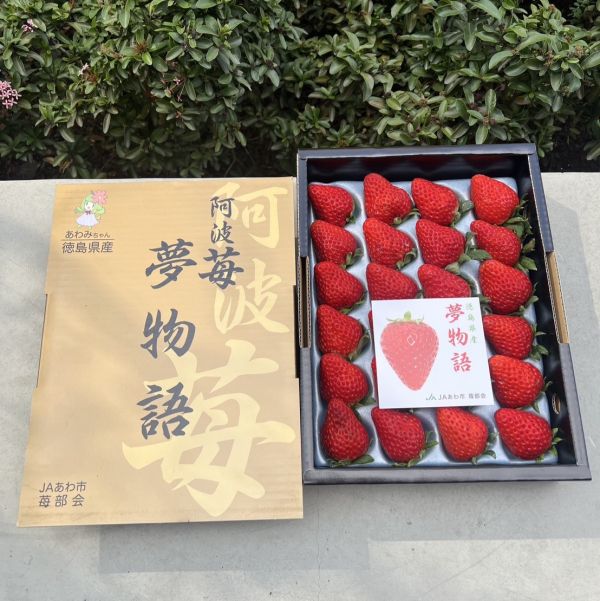 《頂級嚴選》徳島阿波夢物語草莓禮盒 