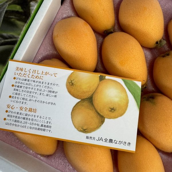 【當季必吃】長崎枇杷禮盒 