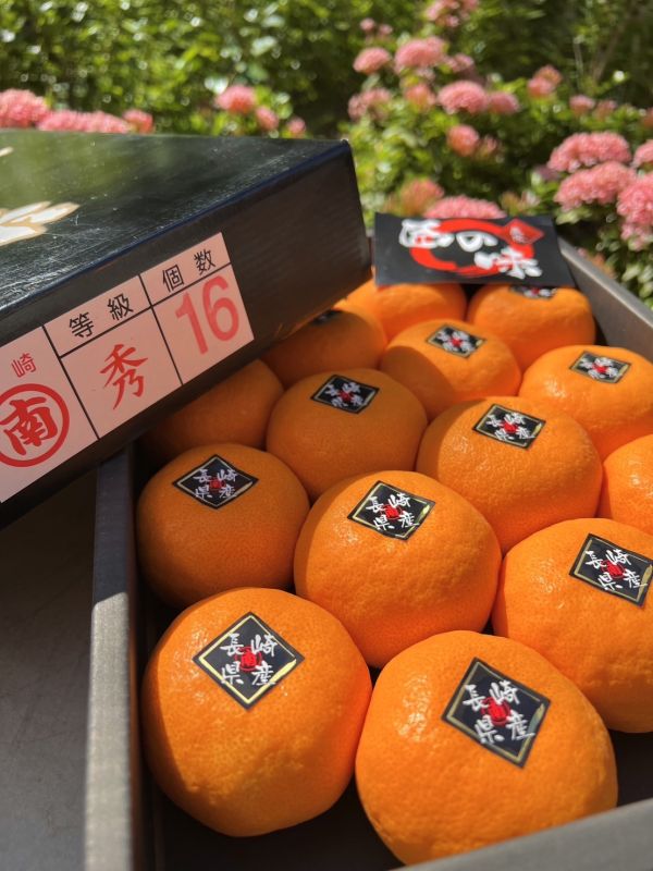 長崎匠之味頂級蜜柑 