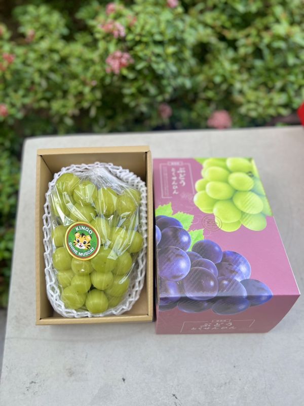 《新年禮盒》單串麝香葡萄禮盒 