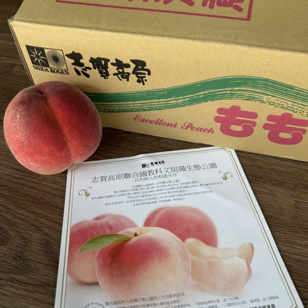 長野志賀高原水蜜桃 