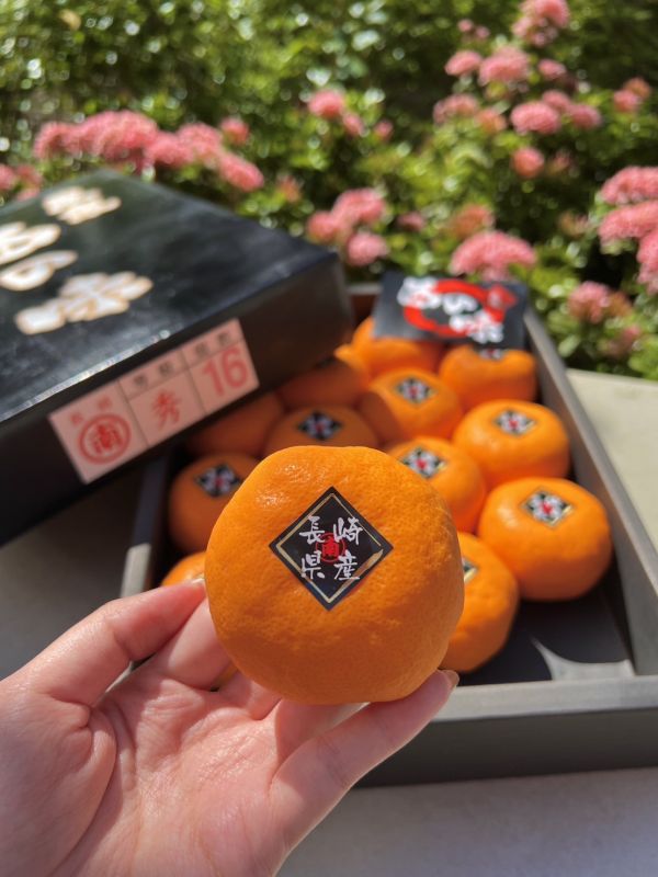 長崎匠之味頂級蜜柑 