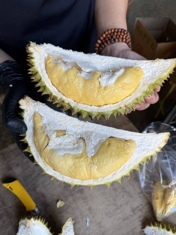 越南漁牌干堯榴槤 