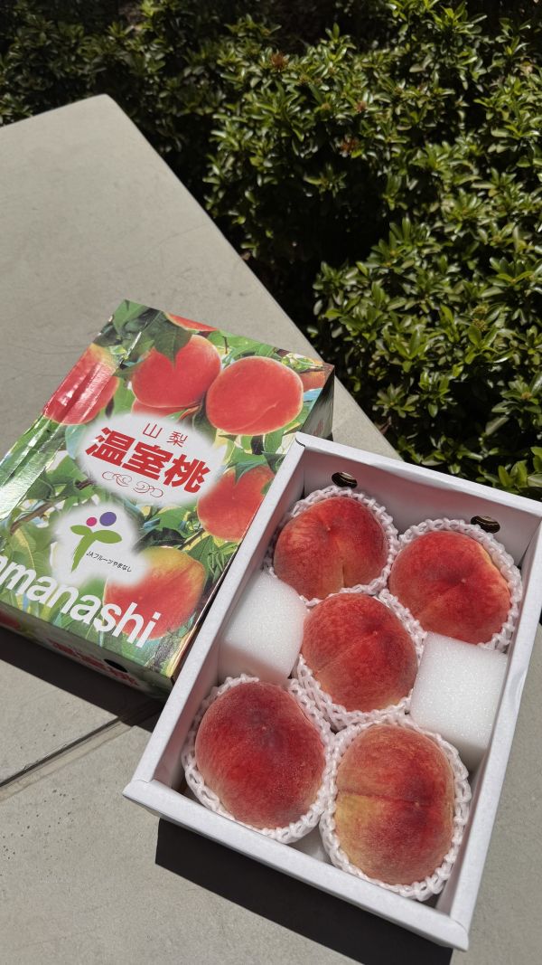免運【夏日必嚐】山梨縣溫室水蜜桃 