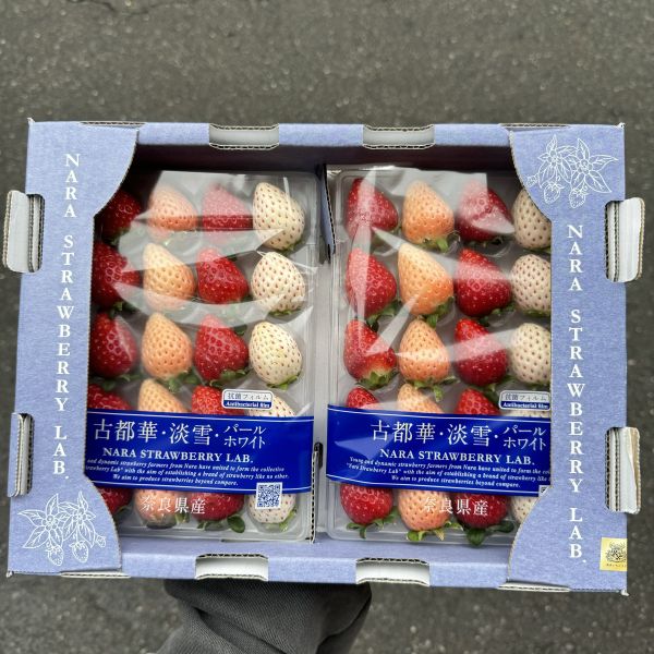 【夢幻草莓】奈良三色草莓 