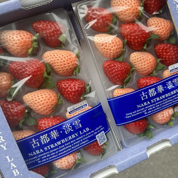 奈良雙色草莓 