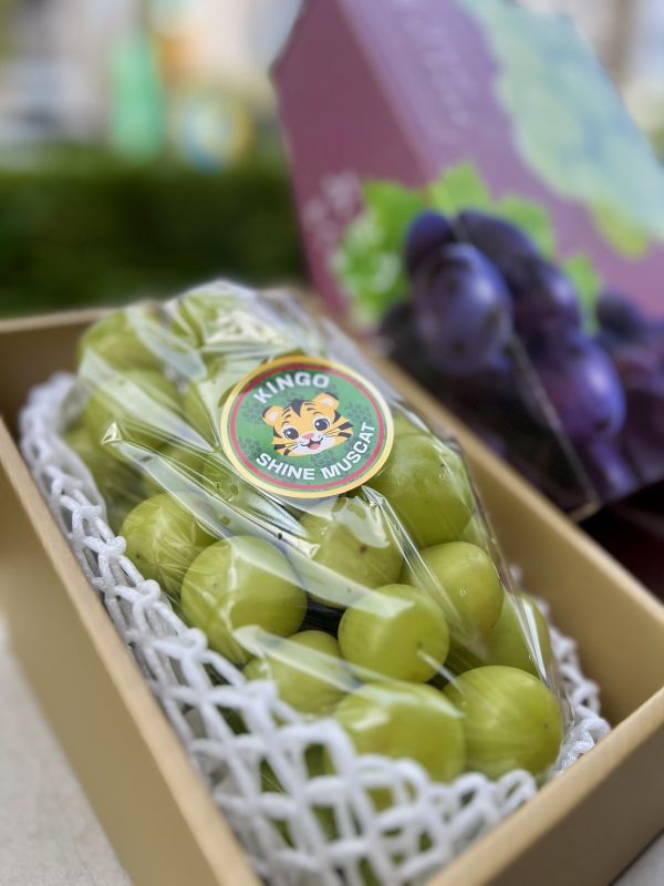 《新年禮盒》單串麝香葡萄禮盒 