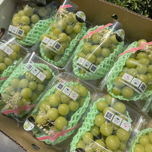 山梨縣麝香葡萄PE盒 