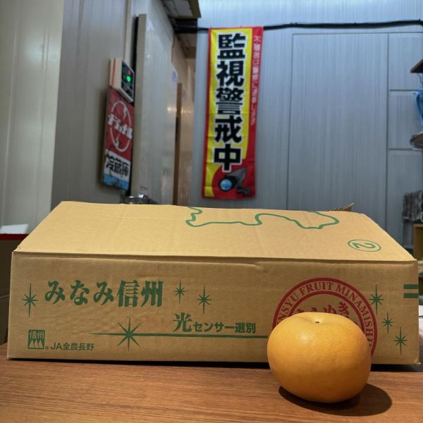 【人氣】長野信州南水梨 吉野梨,日本梨,新高梨