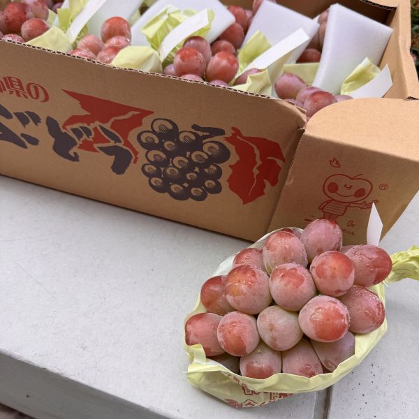 【人氣】長野妃紅提葡萄 