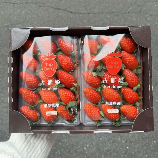 奈良TopBerry古都姬草莓 