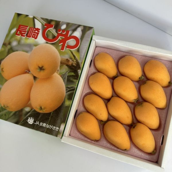 【當季必吃】長崎枇杷禮盒 