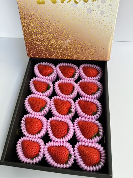 【精緻高雅】高知大妃美草莓禮盒 