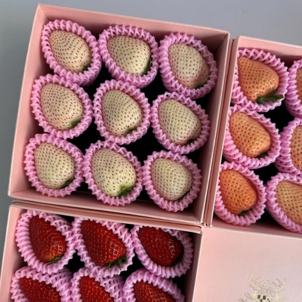 【頂級規格】奈良天皇三色草莓禮盒 