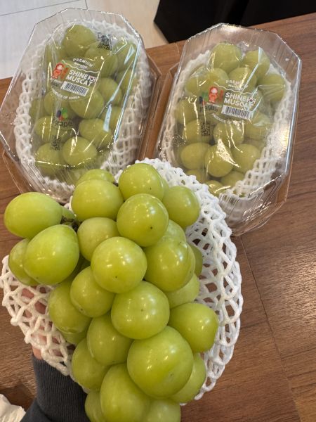 韓國香甜麝香葡萄 