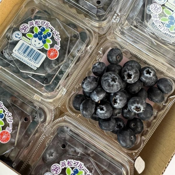 靜岡浜松藍莓 