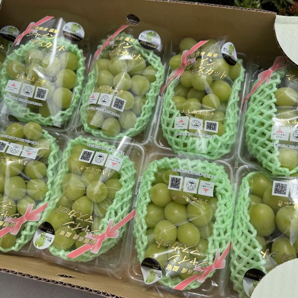 山梨縣麝香葡萄PE盒 