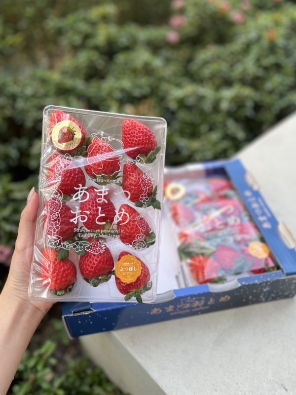 三重縣草莓 