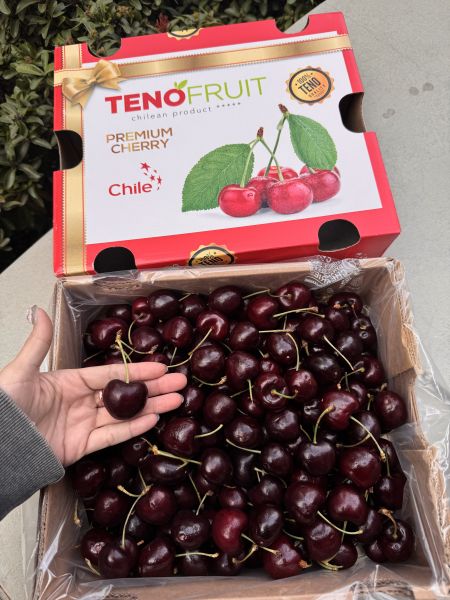 《高CP》智利海運紅櫻桃 