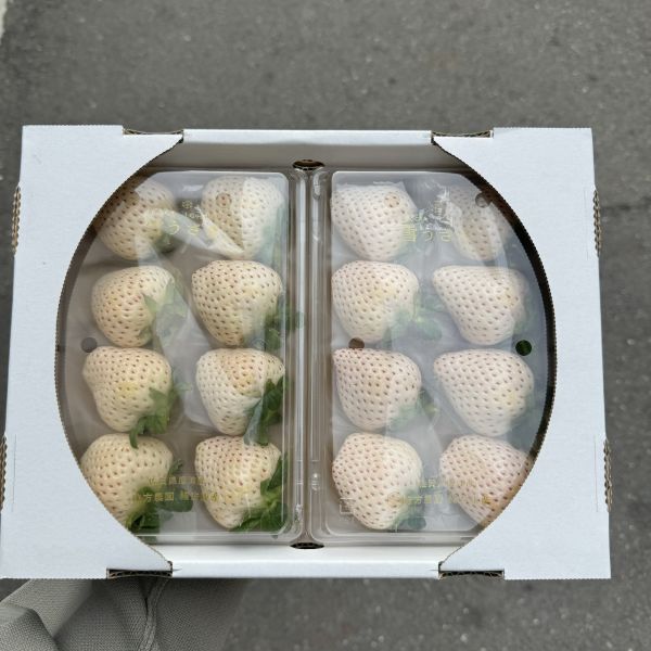 【香甜雪白】佐賀唐津雪兔白草莓 