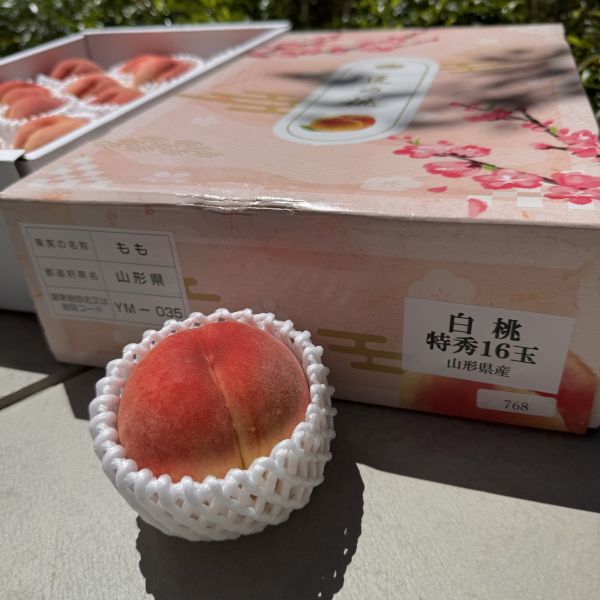 山形縣特秀級白桃 