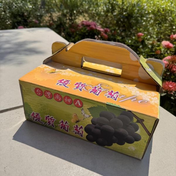 【當季必吃】彰化巨峰蜜葡萄 