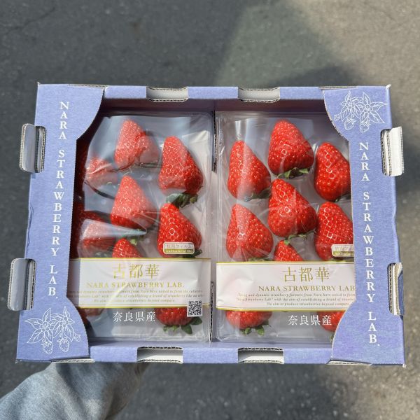 奈良古都華草莓 