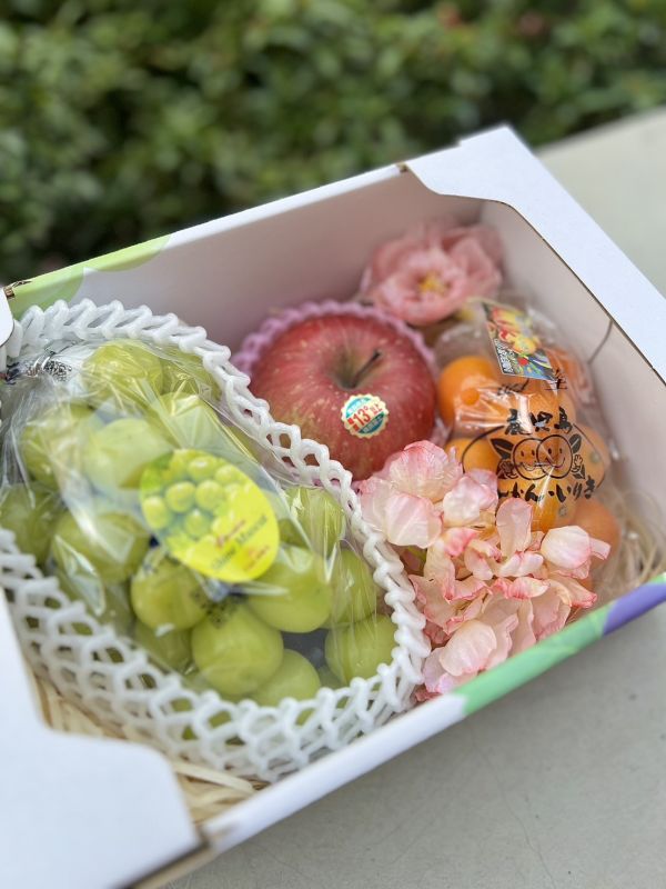 《新年禮盒》神馬龍賀 