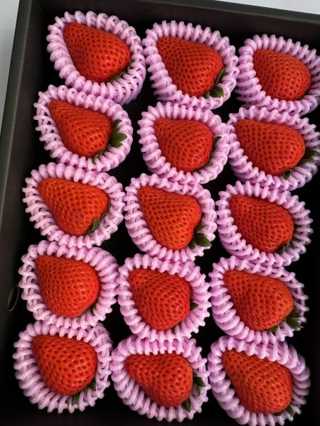 【精緻高雅】高知大妃美草莓禮盒 