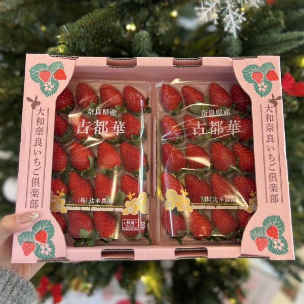 奈良古都華草莓 