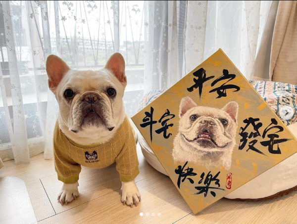 寵物春聯畫畫體驗 