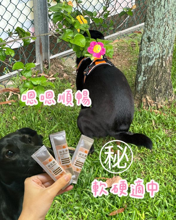 愛荳粉絲專屬優惠 - FurtherMore 富毛