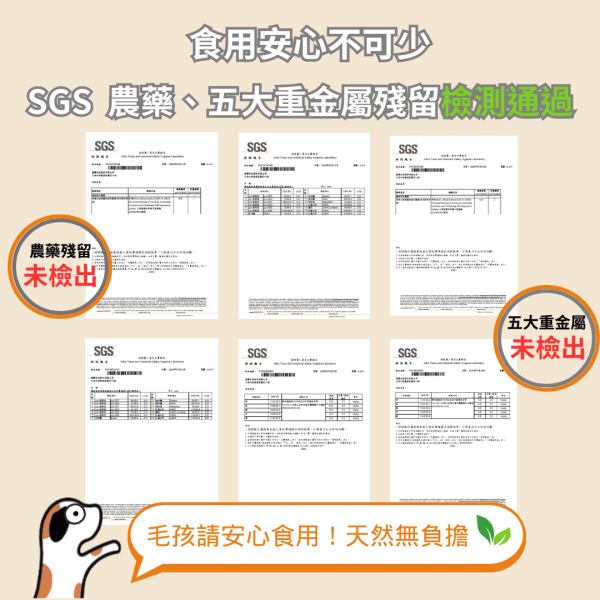胜肽膠原蛋白益生菌 - 犬適用 2 入（第二件只要520） 胜肽膠原蛋白益生菌、狗用益生菌、犬用保健品、狗狗腸道健康、益生菌胜肽、狗用膠原蛋白、SGS 認證犬用保健品、狗狗免疫力提升、犬用小分子膠原蛋白、高純度膠原蛋白犬用、狗狗腸胃保健、天然犬用保健品、狗狗便秘改善、狗狗營養補充、無添加犬用保健品、2 入組、加贈試用包、試用包、免費試吃、狗狗腸胃調理、試用組、犬用腸胃保健