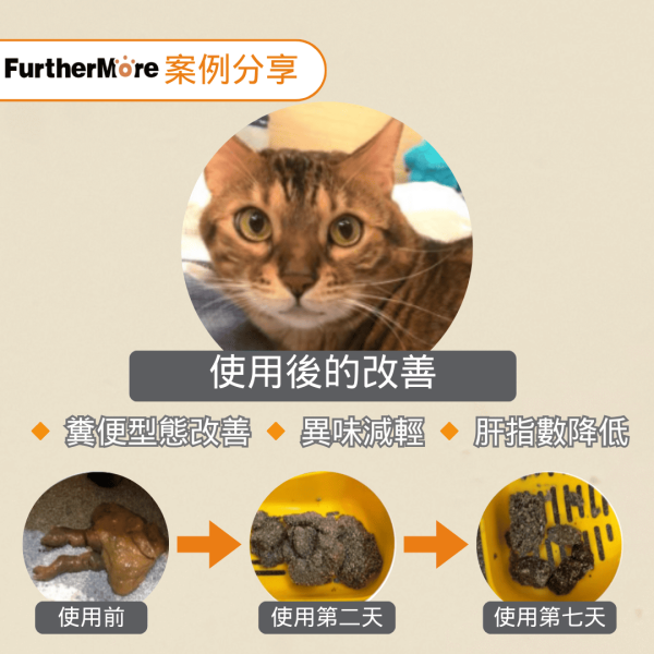 胜肽膠原蛋白益生菌 - 犬適用 2 入（第二件只要520） 胜肽膠原蛋白益生菌、狗用益生菌、犬用保健品、狗狗腸道健康、益生菌胜肽、狗用膠原蛋白、SGS 認證犬用保健品、狗狗免疫力提升、犬用小分子膠原蛋白、高純度膠原蛋白犬用、狗狗腸胃保健、天然犬用保健品、狗狗便秘改善、狗狗營養補充、無添加犬用保健品、2 入組、加贈試用包、試用包、免費試吃、狗狗腸胃調理、試用組、犬用腸胃保健