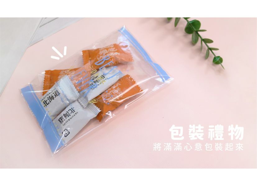 「簡單生活系列」-清新自黏式禮物袋6入(大) 
