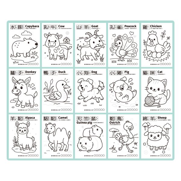 「簡單生活系列」- A4著色紙/CZC-152 