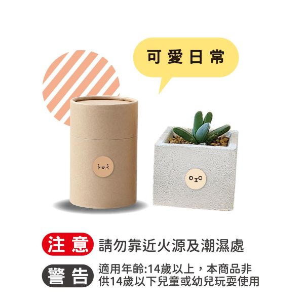 「簡單生活系列」- 表情裝飾貼/CST-472 