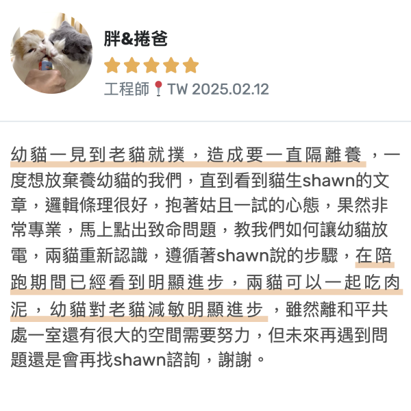 線上諮詢-附三週陪跑｜貓咪問題行為改善與互動優化 