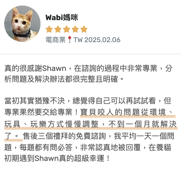 線上諮詢-附三週陪跑｜貓咪問題行為改善與互動優化 