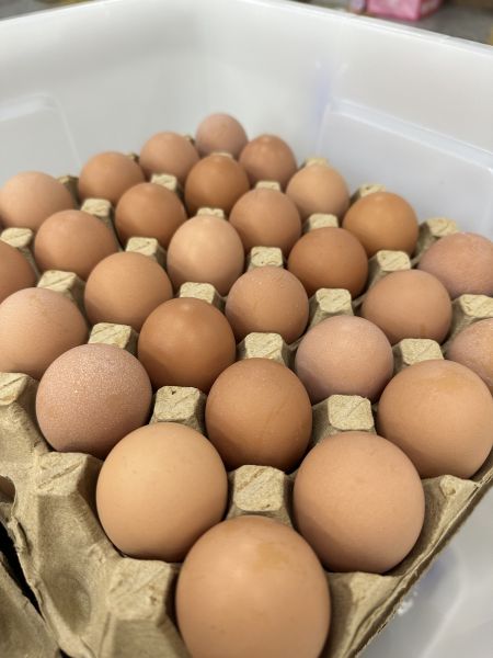 家庭盒 雞蛋, 30入雞蛋, 量多分享