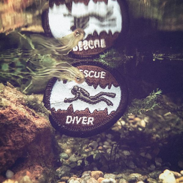 Rescue Diver 救援潛水臂章 / 一入 patch,rescue,diver