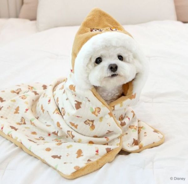 ITS DOG | 迪士尼授權奇奇蒂蒂雙面保暖毯-绗缝款FUN 寵物服飾,寵物選品,韓國寵物服飾,狗衣服,貓衣服,韓國寵物品牌,寵物有機棉,韓國寵物選品,韓國寵物秋冬選品,狗圍巾,寵物保暖,寵物保暖服飾,韓國寵物保暖服飾