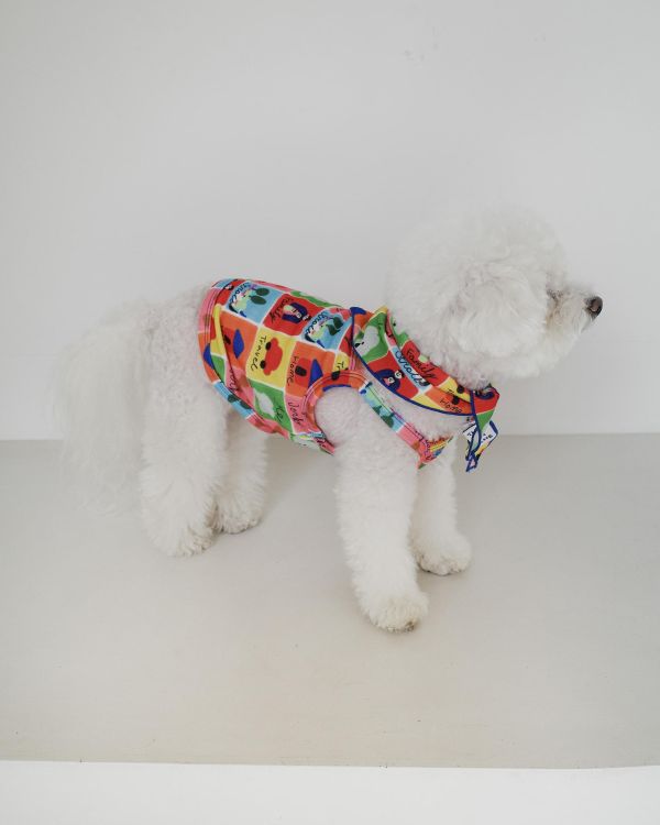 預購0410收單 | côte à côte 花布拼接背心(2色，SM-3XL) 寵物服飾,寵物選品,韓國寵物服飾,狗衣服,貓衣服,韓國寵物品牌,韓國寵物選品,韓國寵物春夏選品,寵物背心,COTEACOTE,韓國寵物品牌服飾,韓國寵物秋冬選品,寵物四腳衣,寵物連身褲,韓國冬天寵物,寵物保暖