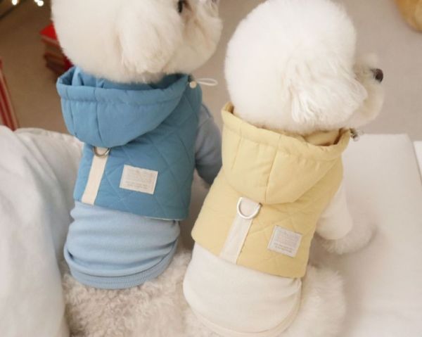 DRRR家舒服棉微領上衣-象牙白/紅色條紋(S-2XL) 寵物服飾,寵物選品,韓國寵物服飾,狗衣服,貓衣服,韓國寵物品牌,寵物有機棉,韓國寵物選品,韓國寵物秋冬選品,狗圍巾,寵物保暖,寵物保暖服飾,韓國寵物保暖服飾