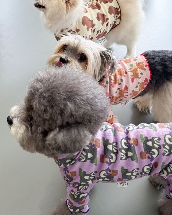 預購1028收單 | côte à côte 秋季紫色松鼠木耳邊四腳衣(SM-2XL) 寵物服飾,寵物選品,韓國寵物服飾,狗衣服,貓衣服,韓國寵物品牌,韓國寵物選品,韓國寵物春夏選品,寵物背心,COTEACOTE,韓國寵物品牌服飾,韓國寵物秋冬選品,寵物四腳衣,寵物連身褲,韓國冬天寵物,寵物保暖