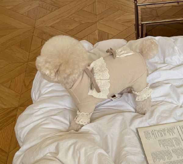 Meaningless Dog | MLD蕾絲花邊四腳衣(S-2XL) 寵物服飾,寵物選品,韓國寵物服飾,狗衣服,貓衣服,韓國寵物品牌,寵物有機棉,韓國寵物選品,韓國寵物秋冬選品,狗四腳衣,寵物保暖,寵物保暖服飾,韓國寵物保暖服飾