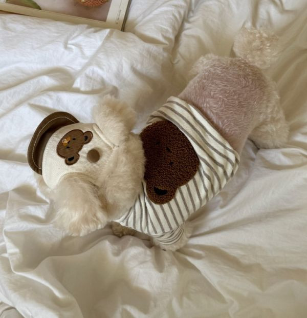 預購0115收單 | MLD 熊熊頭條紋短上衣(S-2XL) 寵物服飾,寵物選品,韓國寵物服飾,狗衣服,貓衣服,韓國寵物品牌,寵物有機棉,韓國寵物選品,韓國寵物秋冬選品,狗四腳衣,寵物保暖,寵物保暖服飾,韓國寵物保暖服飾