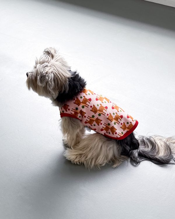 預購1028收單 | côte à côte 秋季梅花鹿無袖背心(SM-3XL) 寵物服飾,寵物選品,韓國寵物服飾,狗衣服,貓衣服,韓國寵物品牌,韓國寵物選品,韓國寵物春夏選品,寵物背心,COTEACOTE,韓國寵物品牌服飾,韓國寵物秋冬選品,寵物四腳衣,寵物連身褲,韓國冬天寵物,寵物保暖